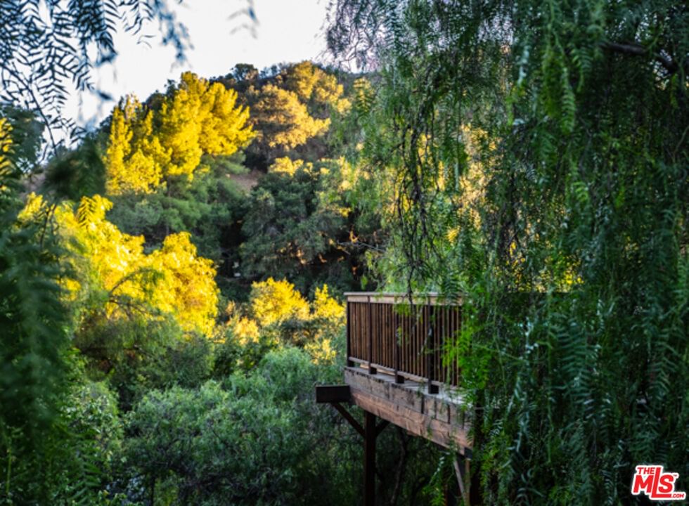 Topanga Skyline photo 17
