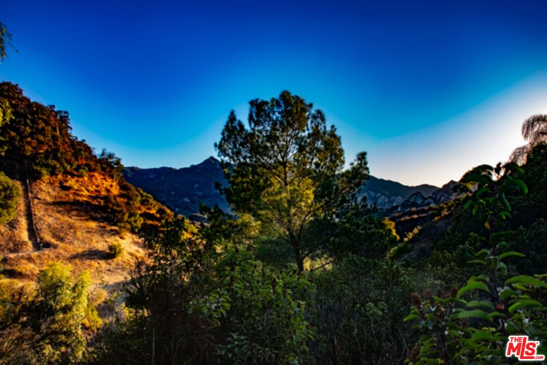 Topanga Skyline photo 49