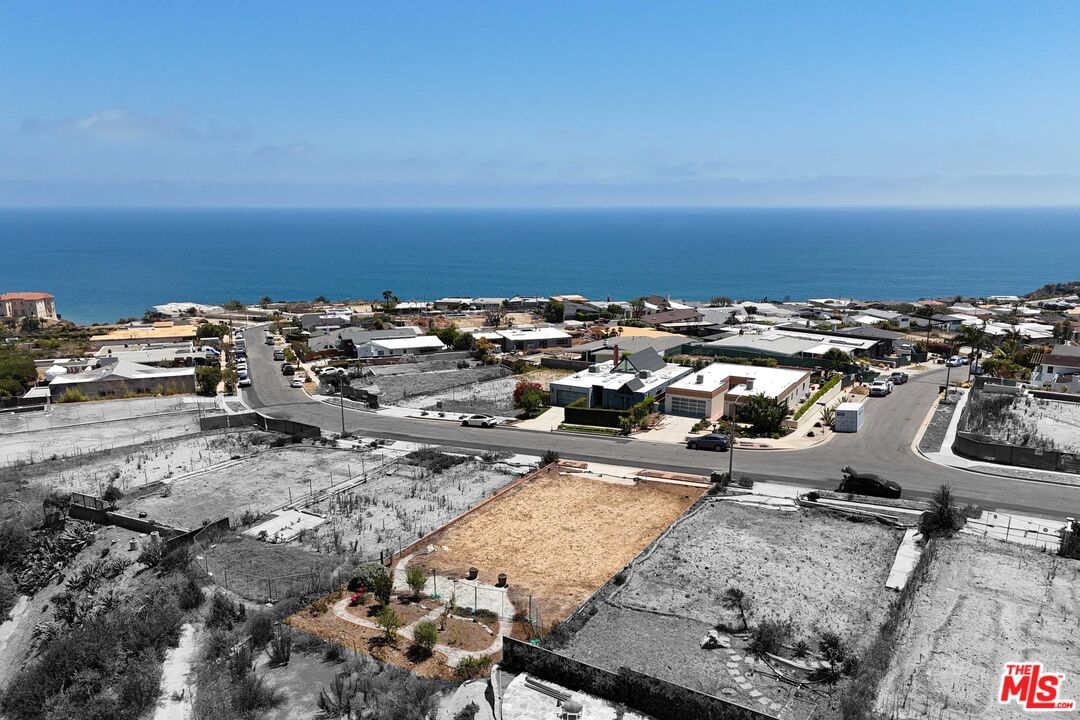 Surfwood photo 3