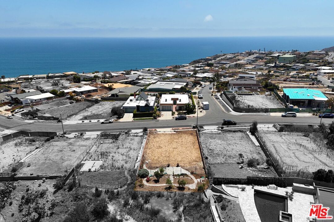 Surfwood photo 5