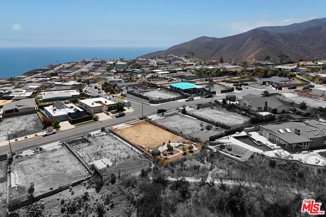 Surfwood photo 6