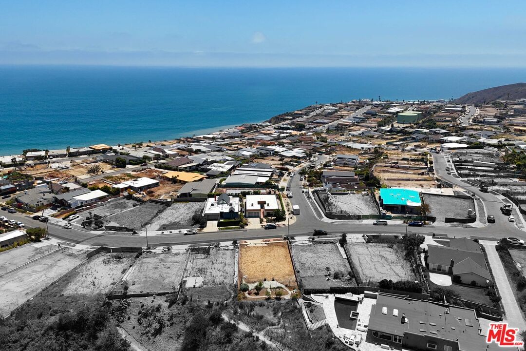 Surfwood photo 8
