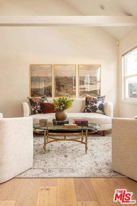Laurel Terrace photo 5