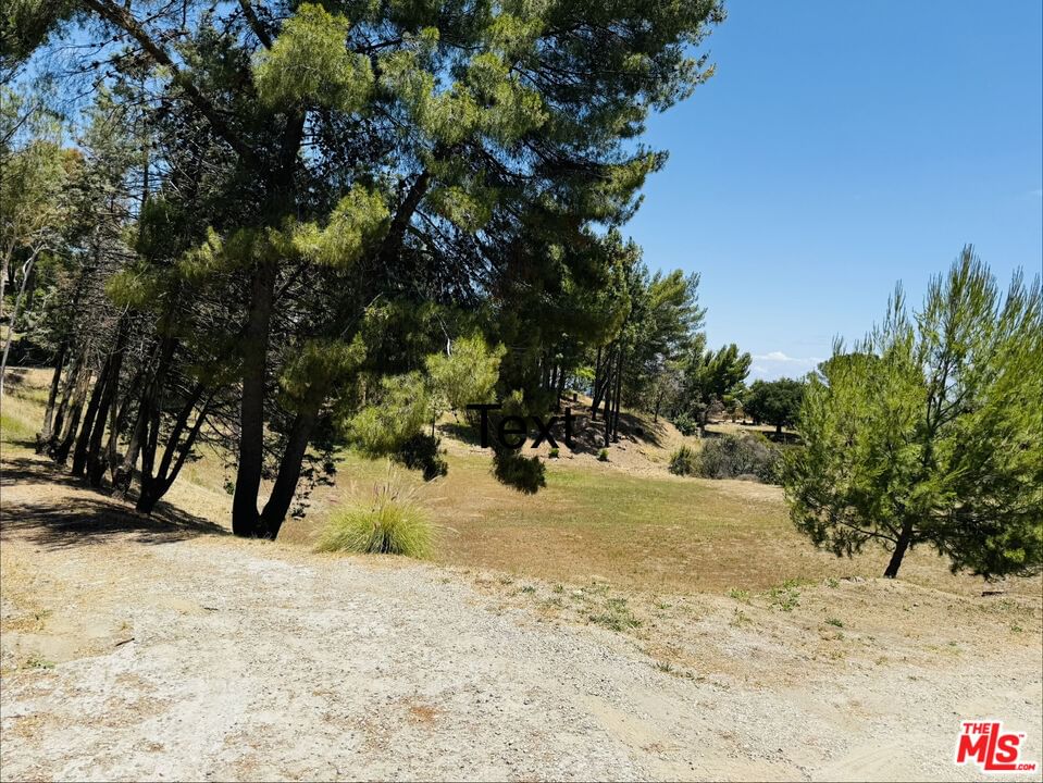 Saddlepeak photo 4