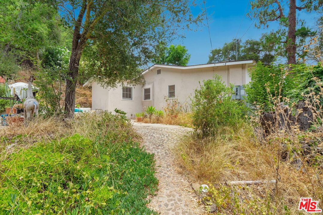 Topanga Canyon photo 21