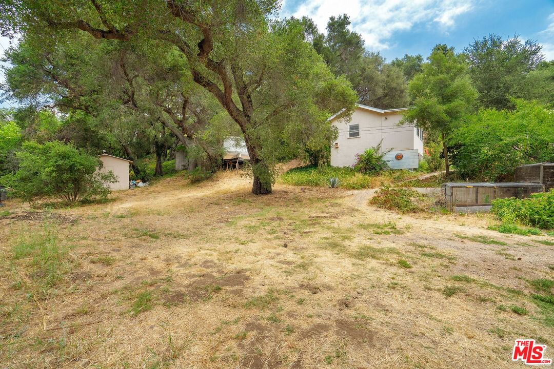 Topanga Canyon photo 23