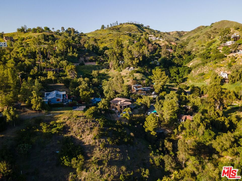 TOPANGA SKYLINE photo 38