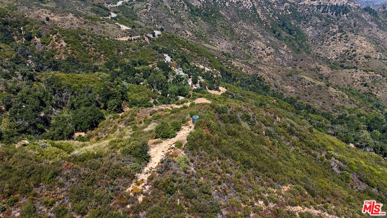 Mulholland photo 13