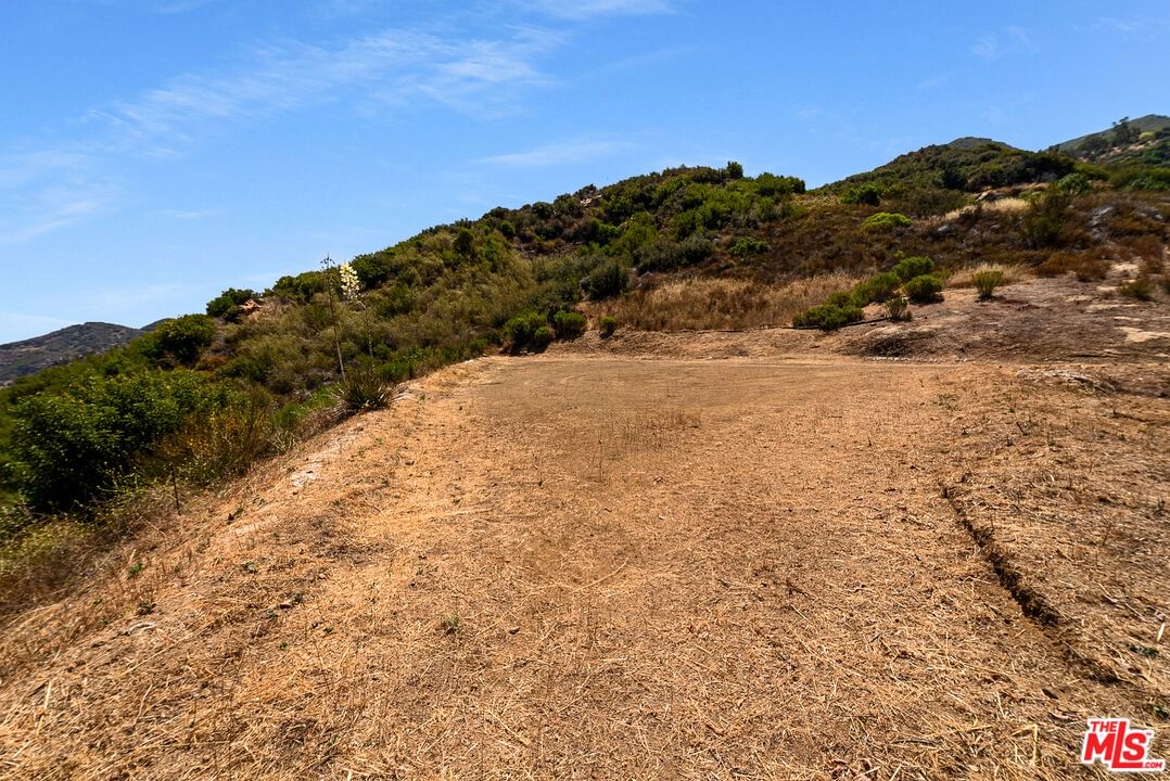 Mulholland photo 15