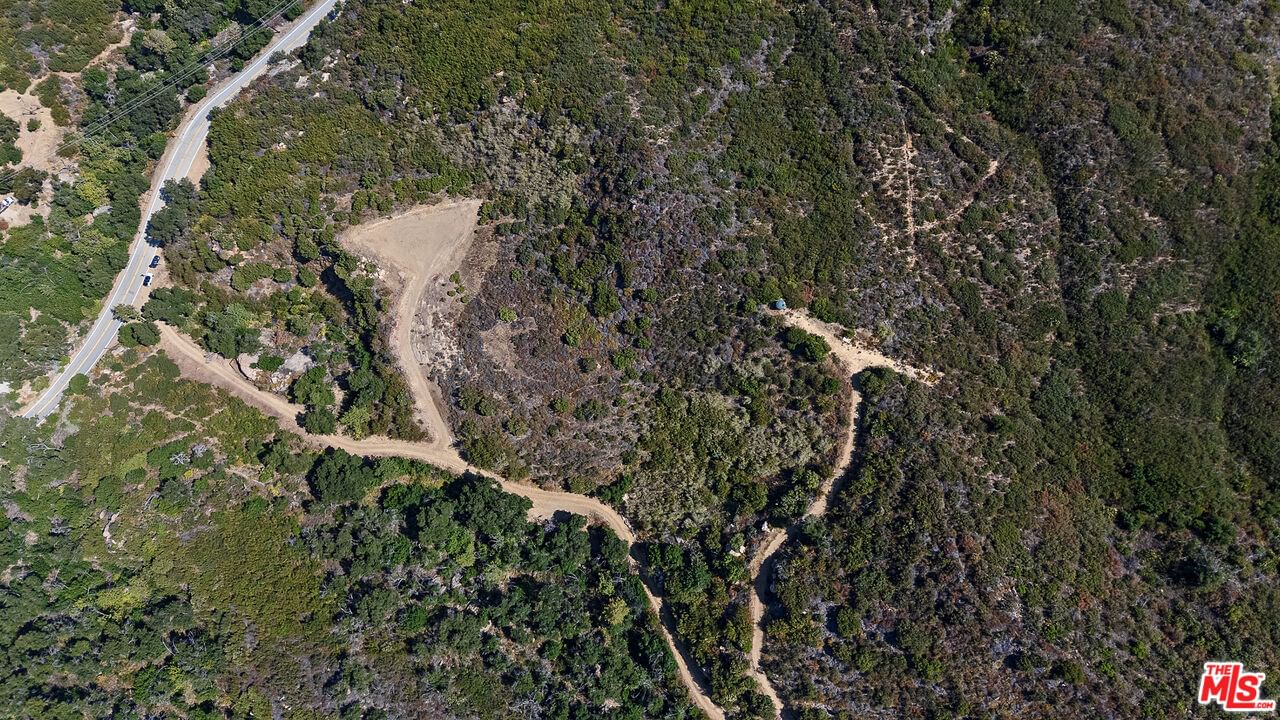 Mulholland photo 18