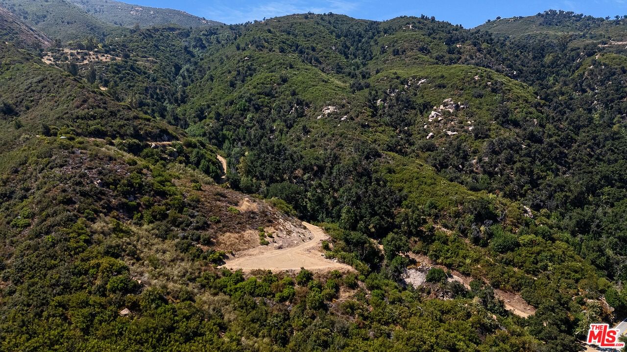 Mulholland photo 21
