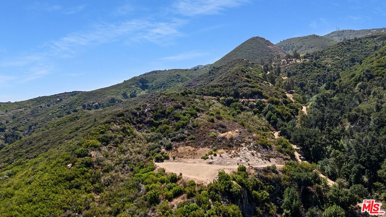 Mulholland photo 6