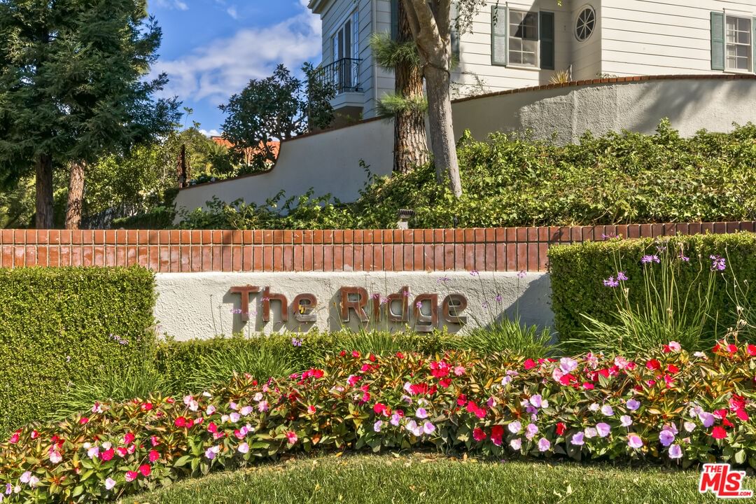 Ridge photo 57