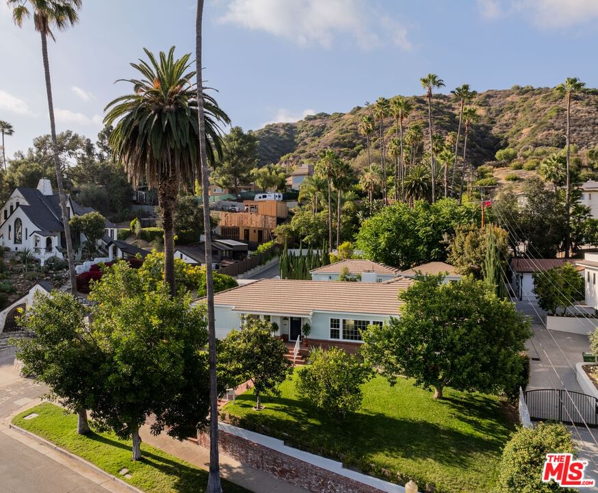 Hill photo 46