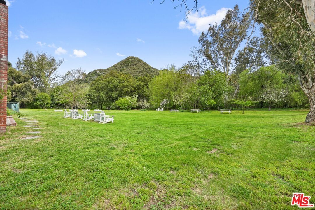 Bonnell photo 19