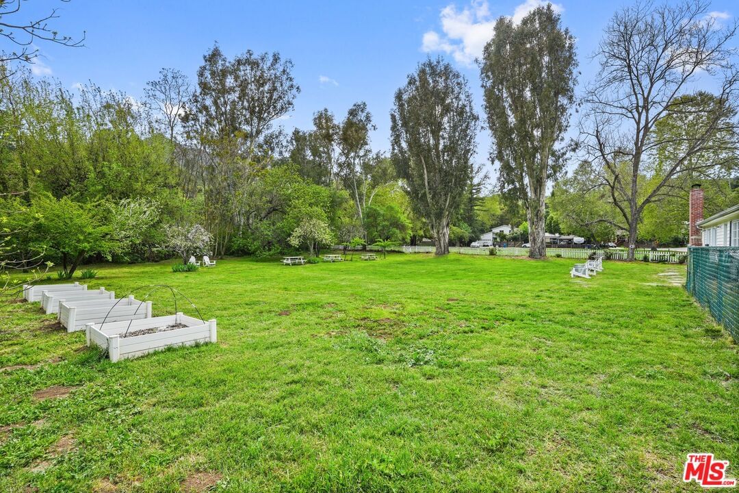 Bonnell photo 20
