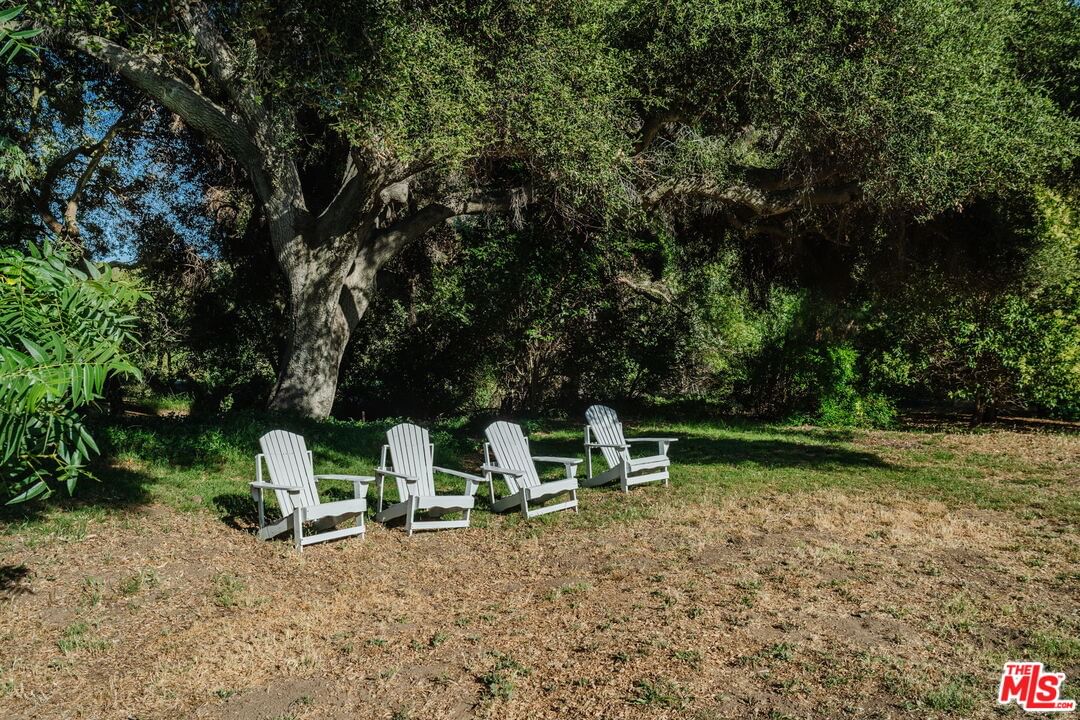 Bonnell photo 30
