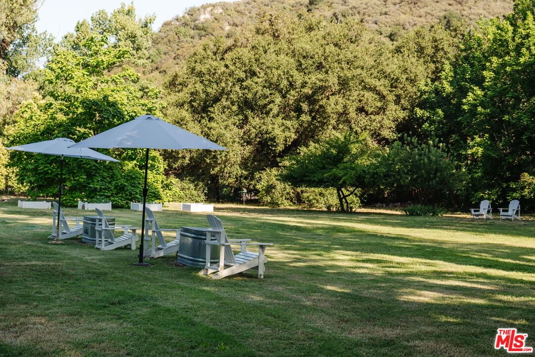 Bonnell photo 31