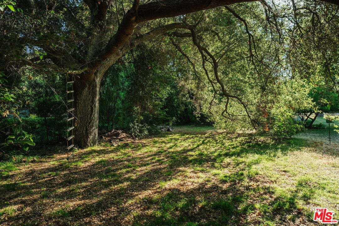 Bonnell photo 52