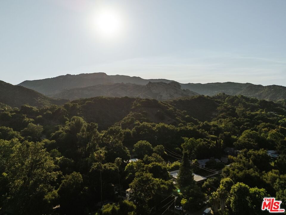 Bonnell photo 53