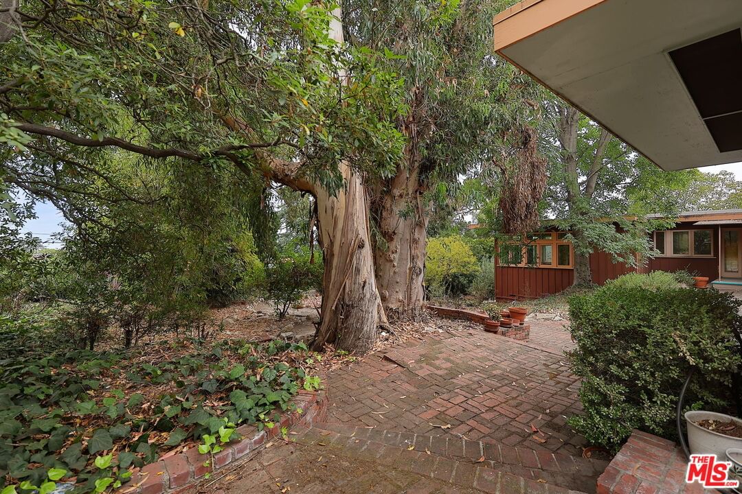 Panorama photo 31