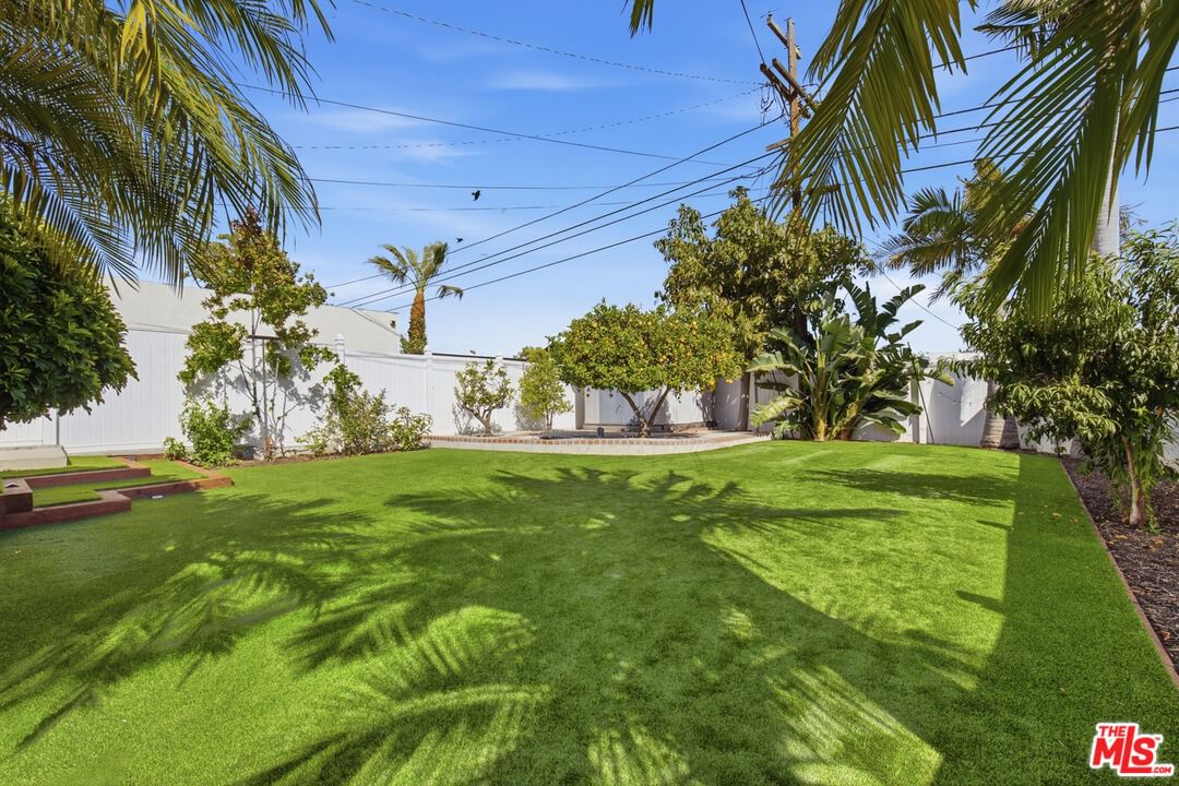 York photo 26