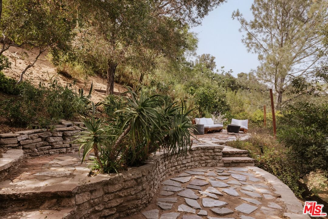 Alta Vista photo 21