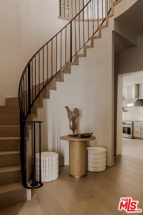 Curson photo 13