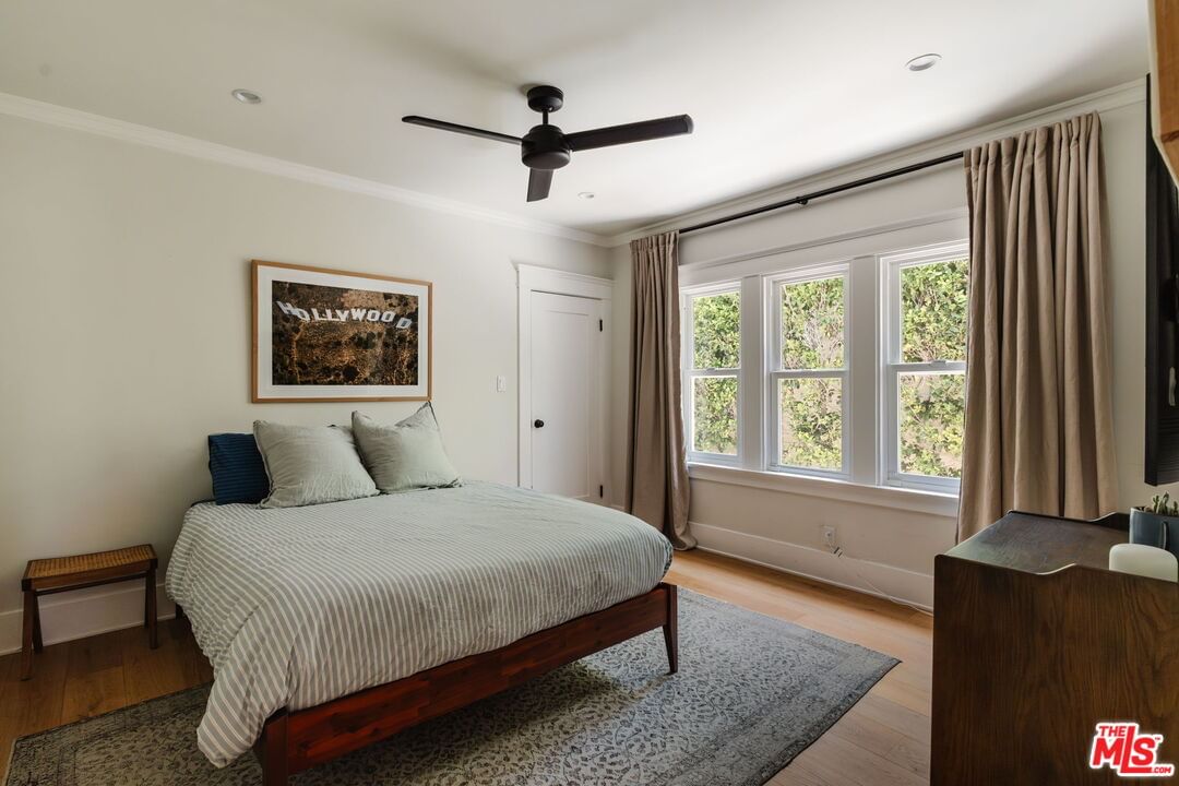Curson photo 30