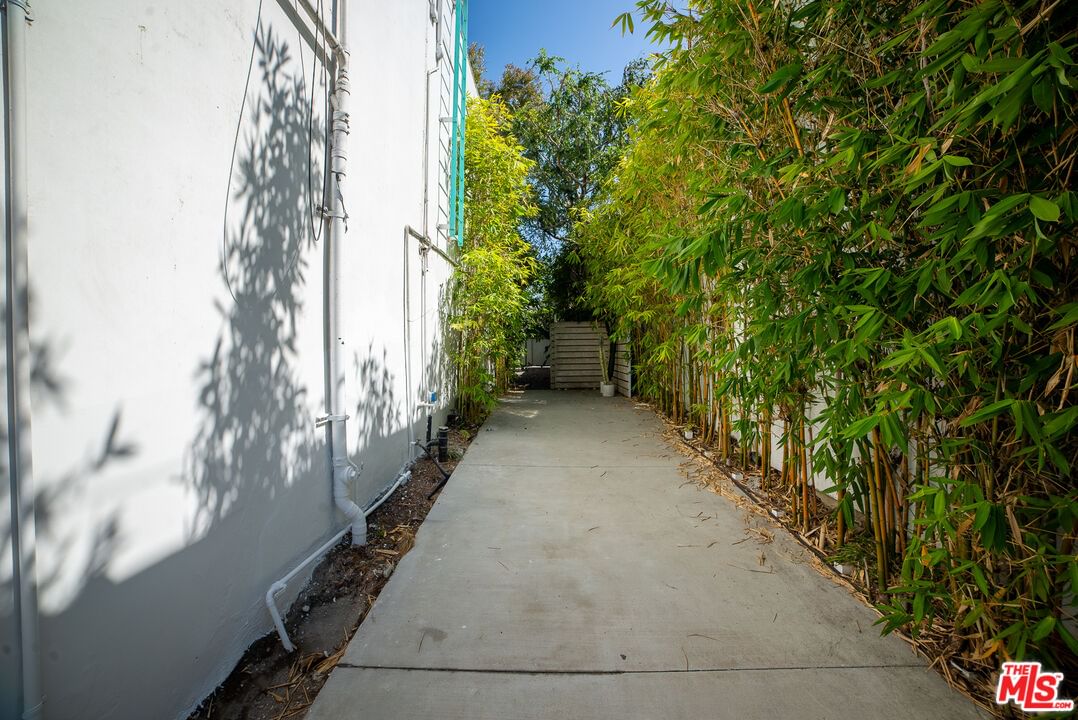 Abbot Kinney photo 23