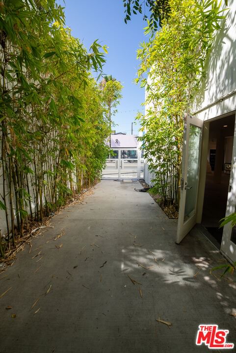 Abbot Kinney photo 3