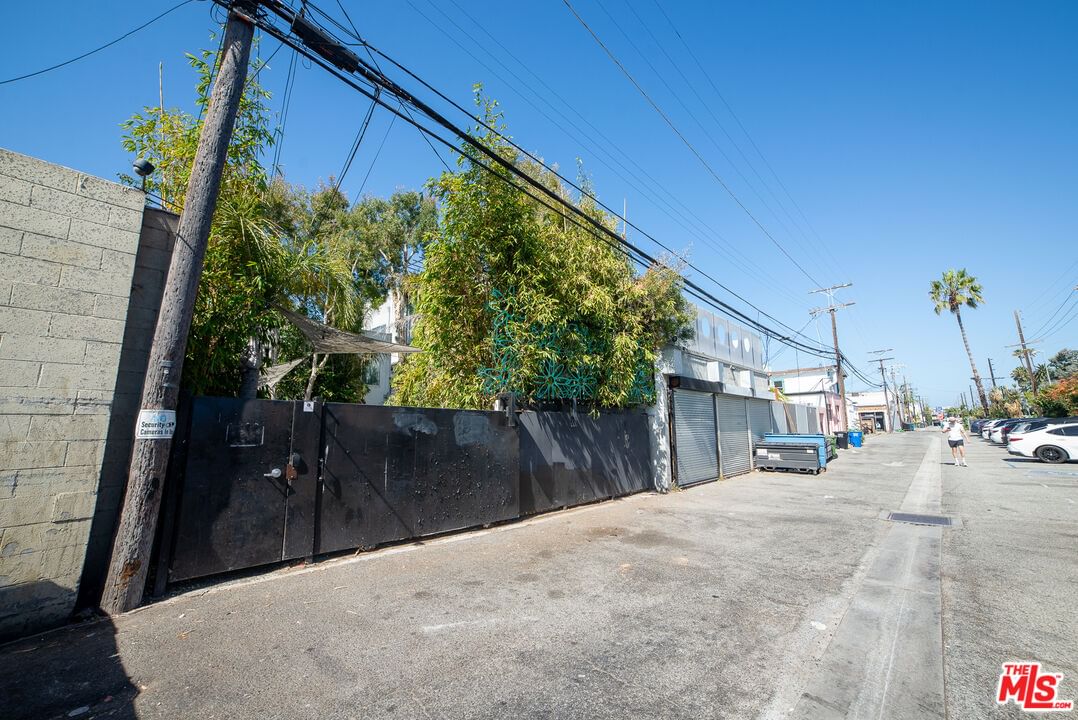 Abbot Kinney photo 4
