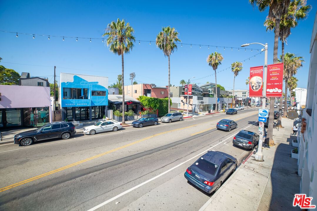 Abbot Kinney photo 7