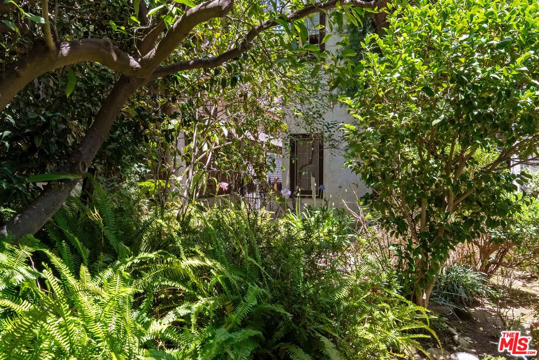 Curson photo 29