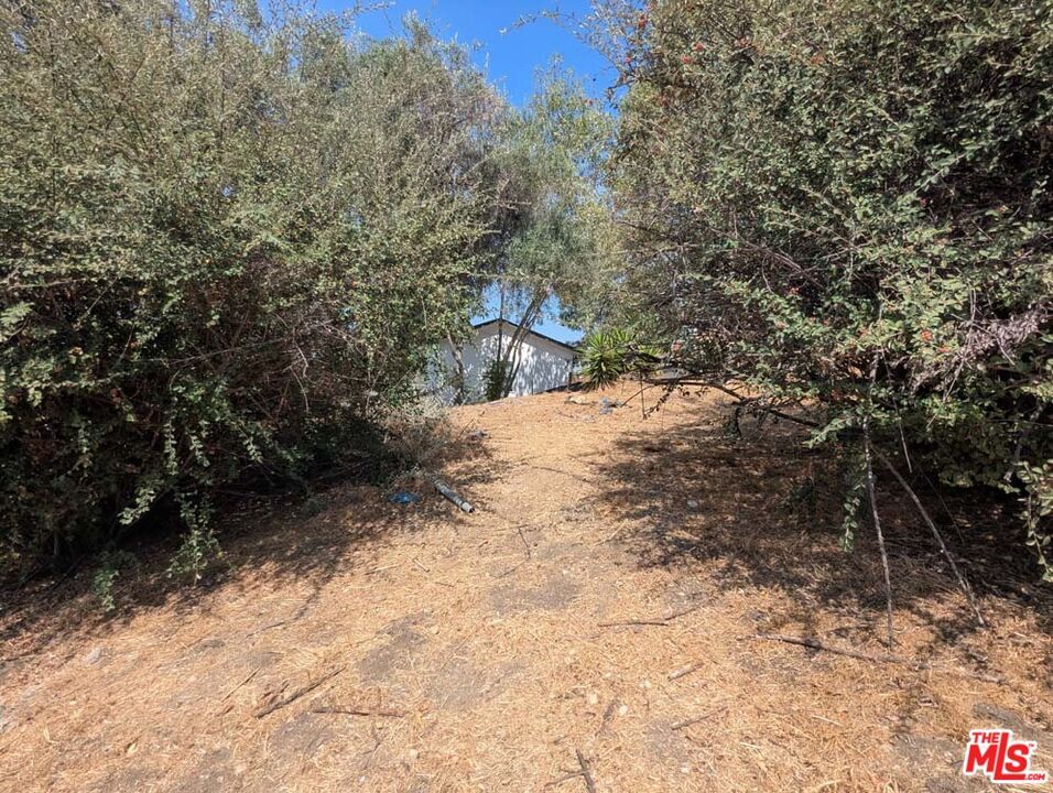 Huntington photo 10