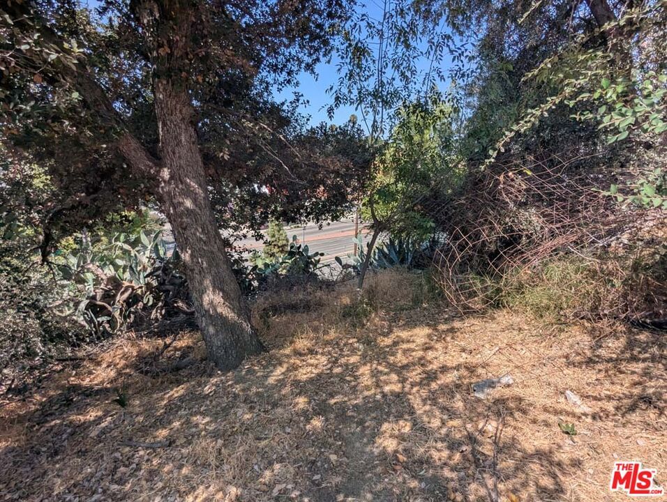 Huntington photo 11