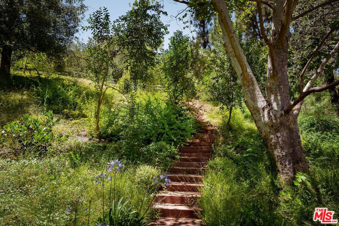 Eldorado Meadow photo 53
