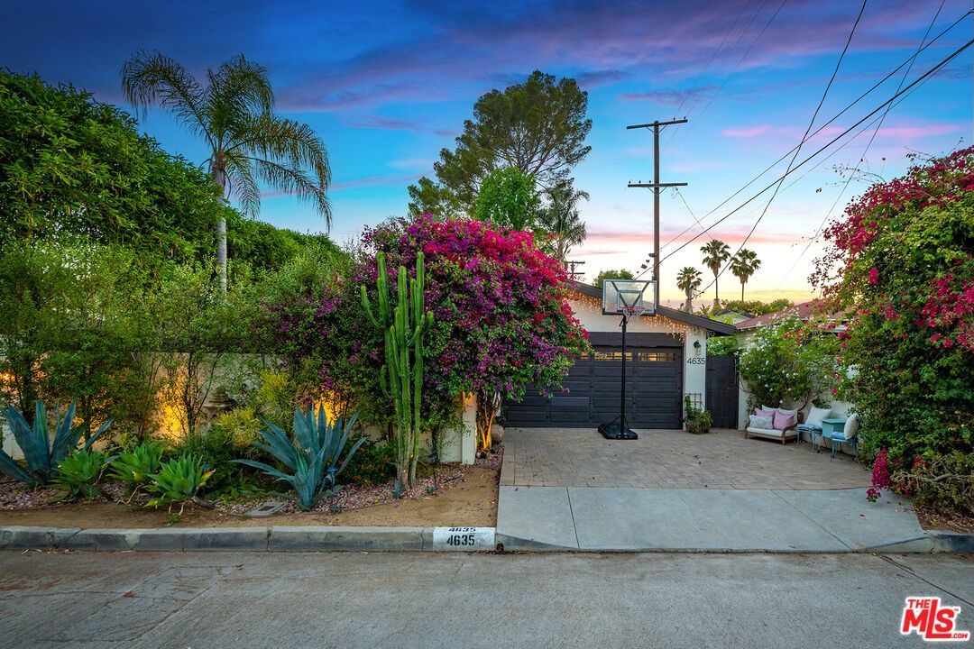 Bellflower photo 15