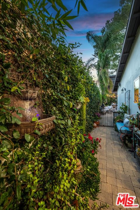 Bellflower photo 51