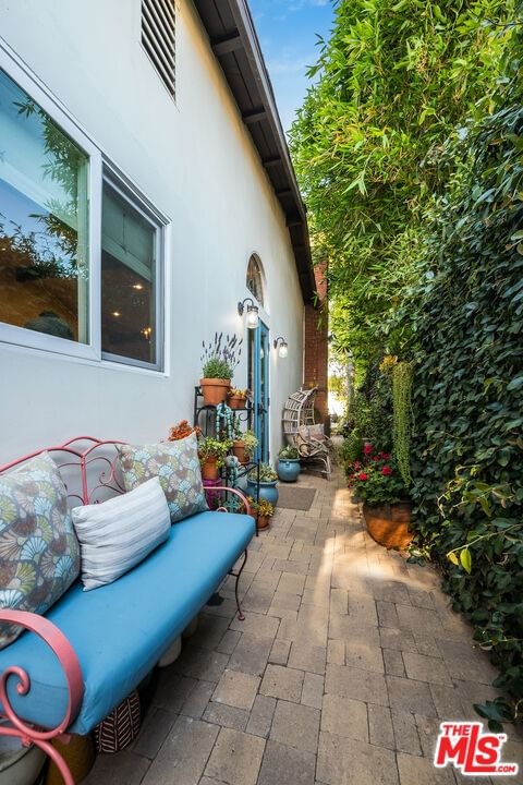 Bellflower photo 52