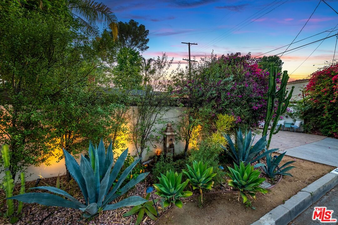Bellflower photo 53
