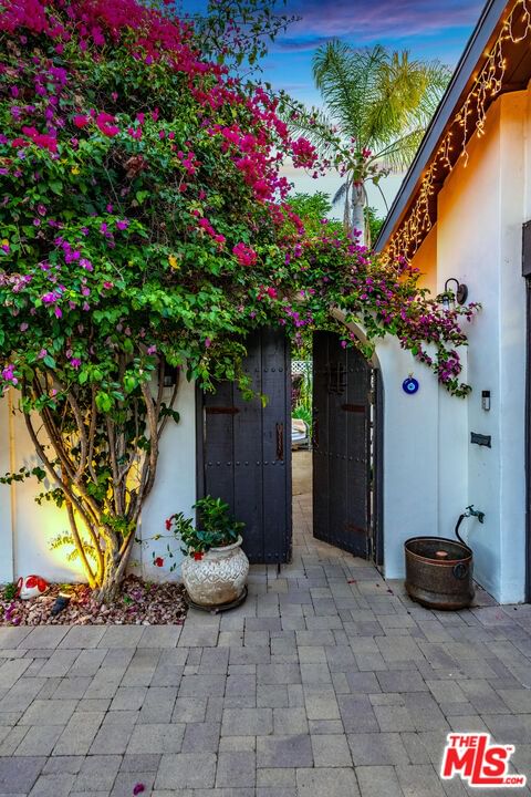 Bellflower photo 54