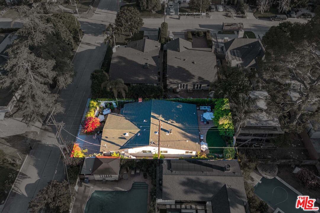Bellflower photo 55