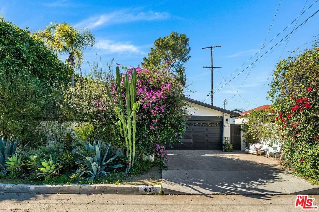 Bellflower photo 56
