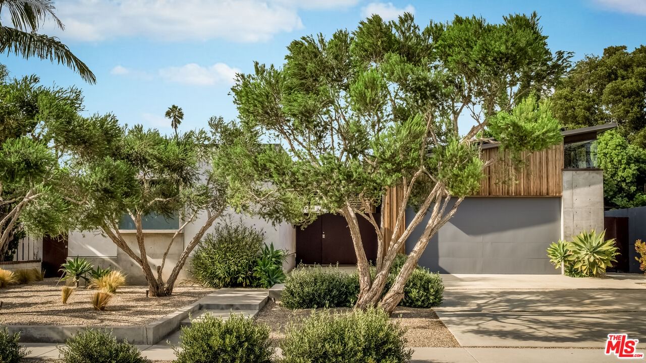 Palms photo 63