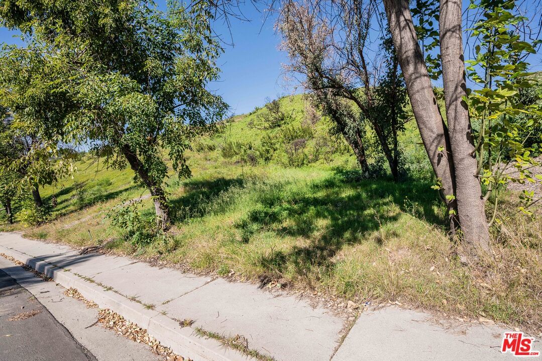Michael Lane photo 15