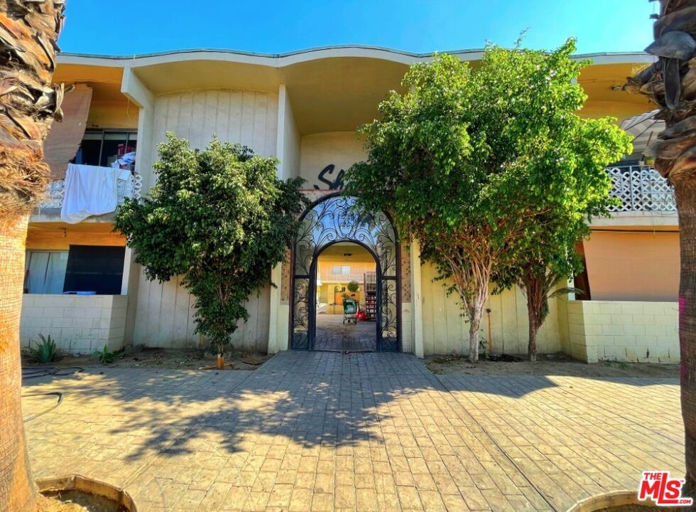 Kester photo 1