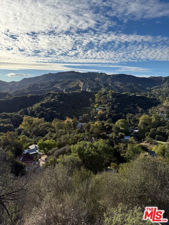 Topanga Skyline Dr photo 4