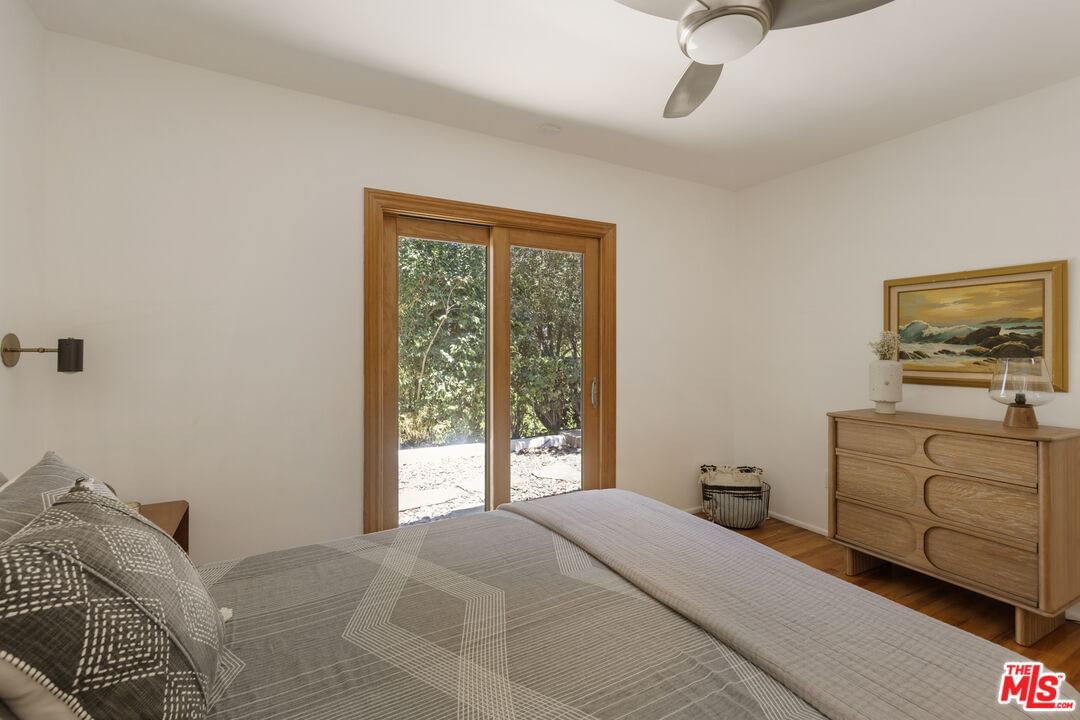 Palmero photo 24
