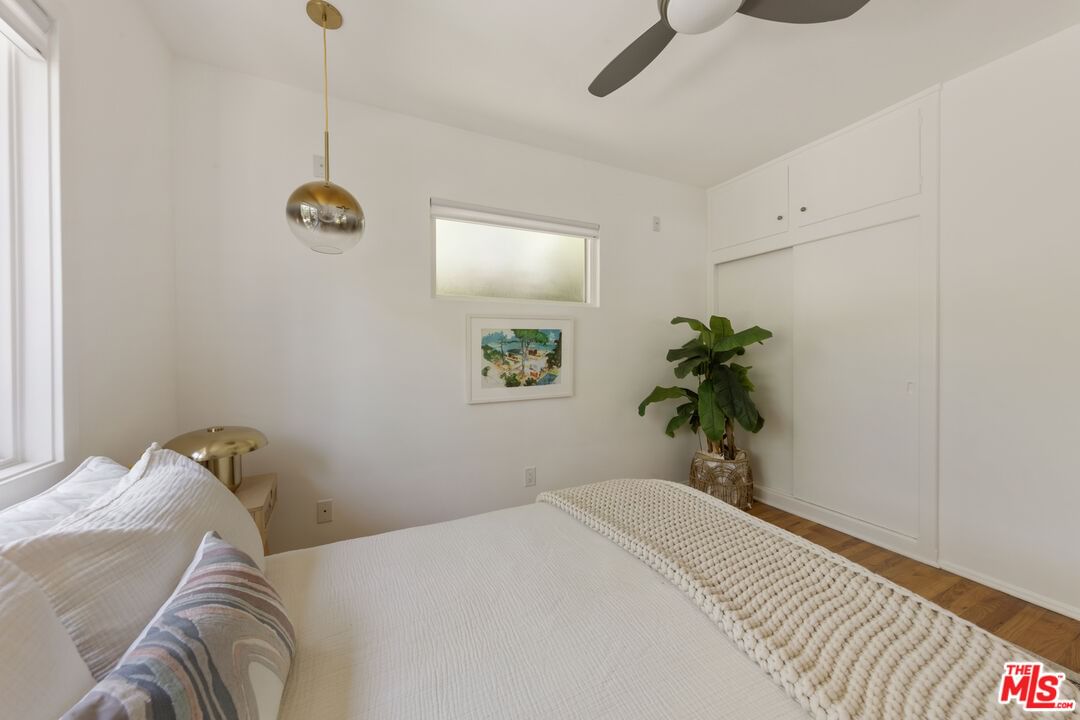 Palmero photo 29